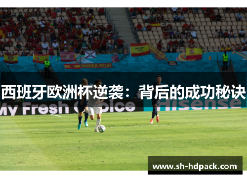 西班牙欧洲杯逆袭：背后的成功秘诀