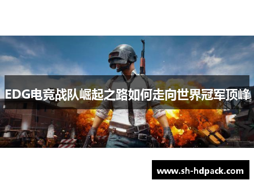 EDG电竞战队崛起之路如何走向世界冠军顶峰