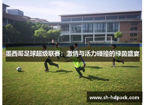 墨西哥足球超级联赛：激情与活力碰撞的绿茵盛宴