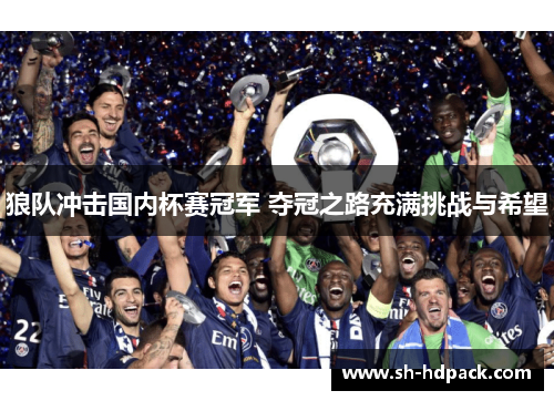 狼队冲击国内杯赛冠军 夺冠之路充满挑战与希望