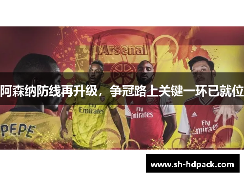 阿森纳防线再升级，争冠路上关键一环已就位